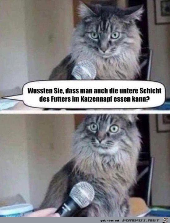 Du kannst alles fressen... Du kannst alles fressen...