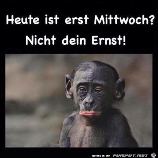 Mittwoch Mittwoch