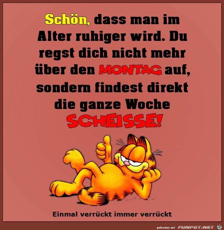 Scheisse Scheisse