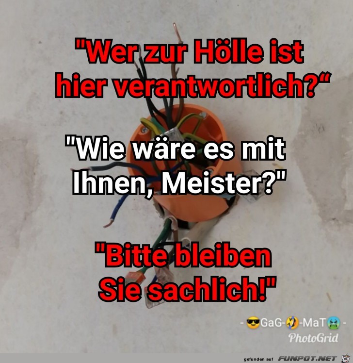 Meister Meister