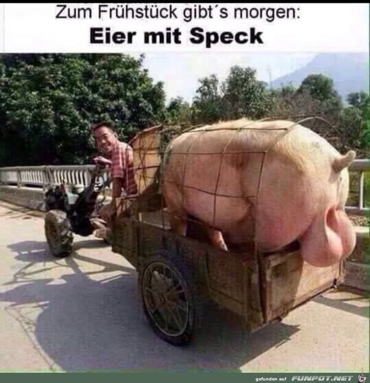 Eier mit Speck