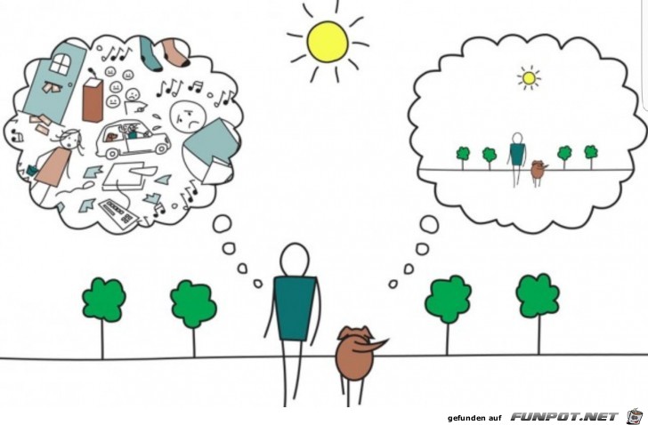 glueckliche Hunde glueckliche Hunde