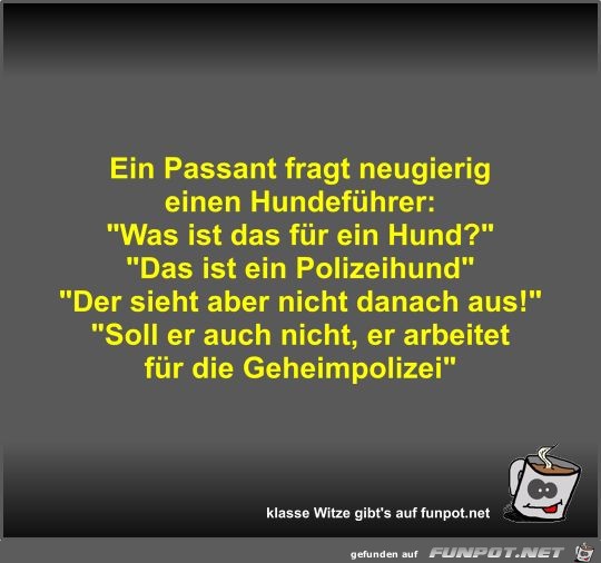 Ein Passant fragt neugierig einen Hundeführer Ein Passant fragt neugierig einen Hundeführer