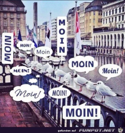 Moin Moin