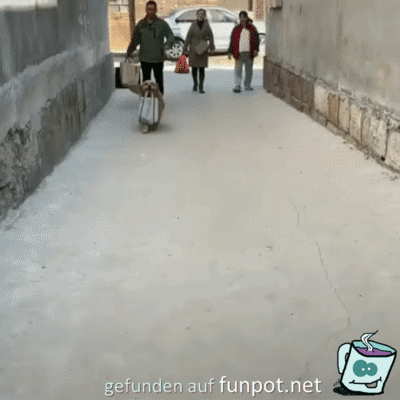 Fleißiger Träger Fleißiger Träger
