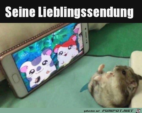 Lieblingssendung Lieblingssendung