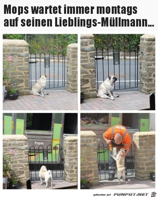 Ist ja knuffig Ist ja knuffig