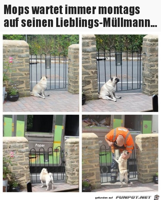 Ist ja knuffig