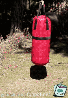 Training mit dem Boxsack Training mit dem Boxsack