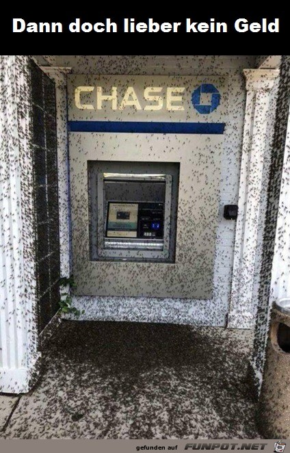 Lieber kein Geld Lieber kein Geld