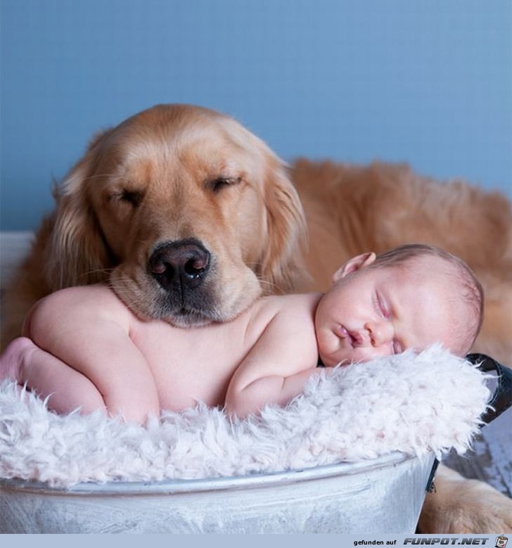 Kinder und ihre Hunde - einfach nur zu s!