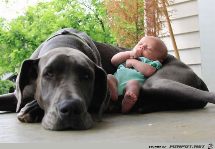 Kinder und ihre Hunde - einfach nur zu s!