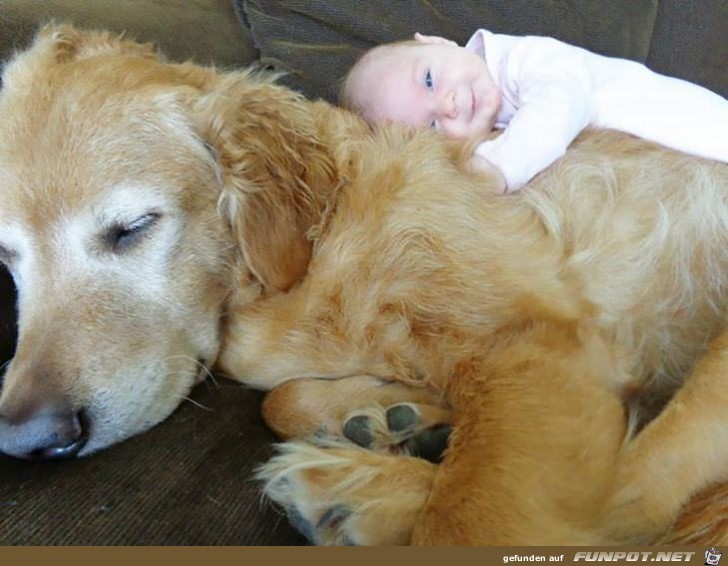 Kinder und ihre Hunde - einfach nur zu s!