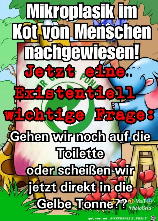 Mikroplastik Mikroplastik