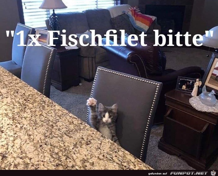 Herr Ober bitte ein Fischfilet