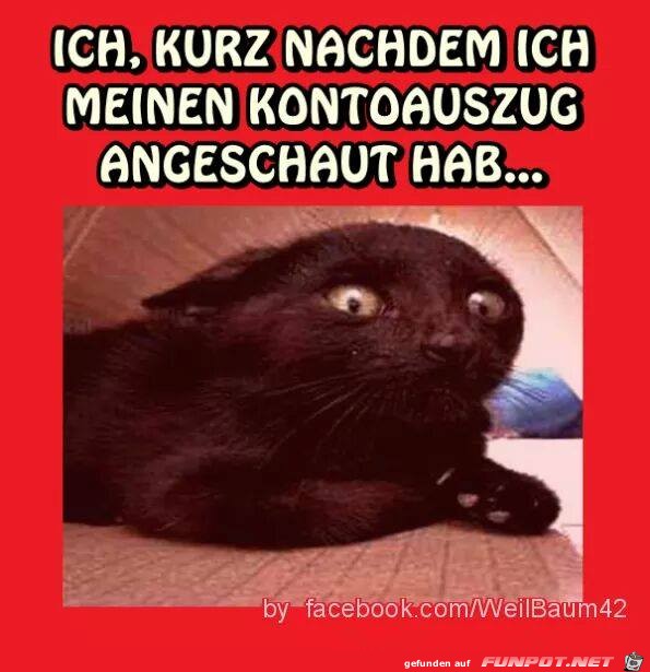 Kurz nachdem Kurz nachdem