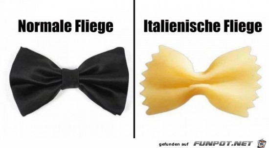 Fliege Fliege