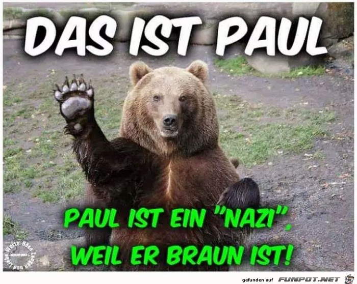 Das ist Paul