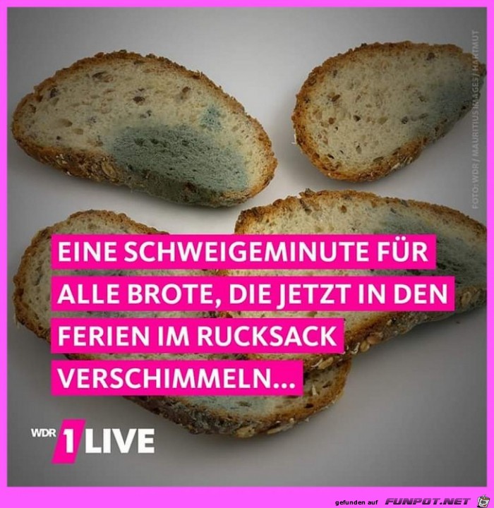 Schimmel Schimmel