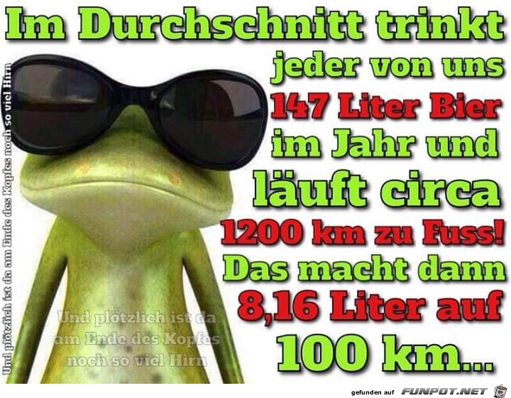 Durchschnittsverbrauch