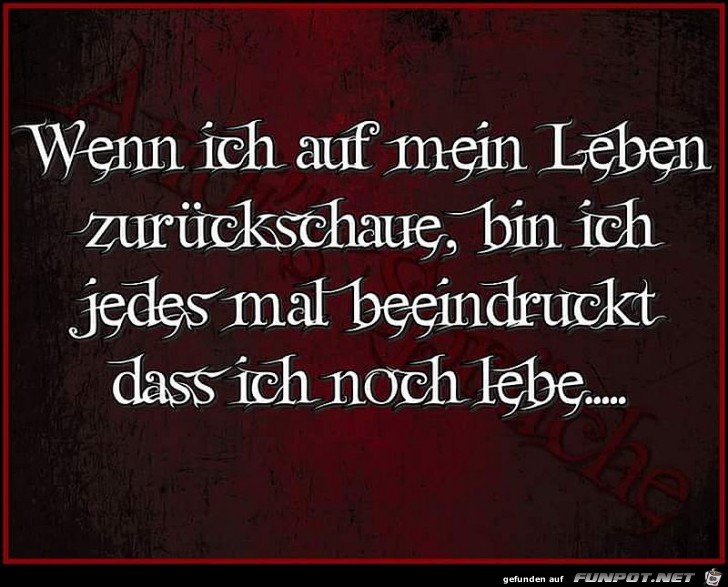 Mein Leben Mein Leben