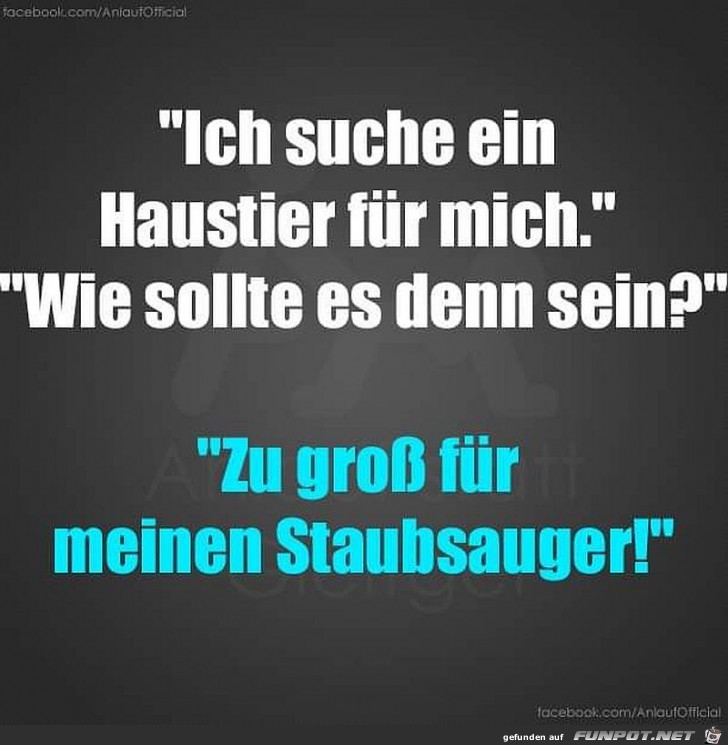 Suche Haustier