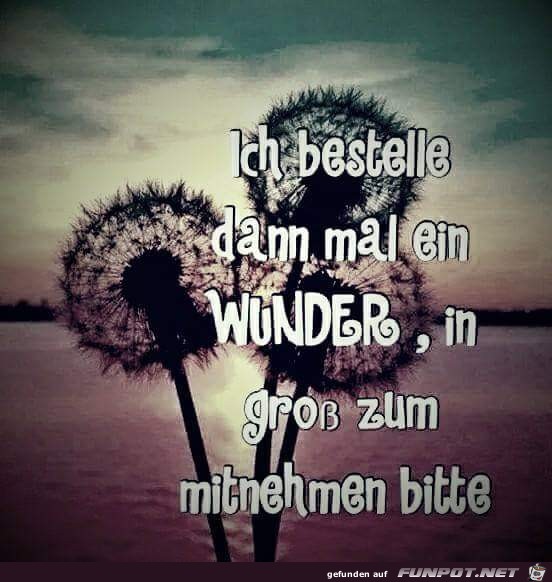 Bestellung Bestellung