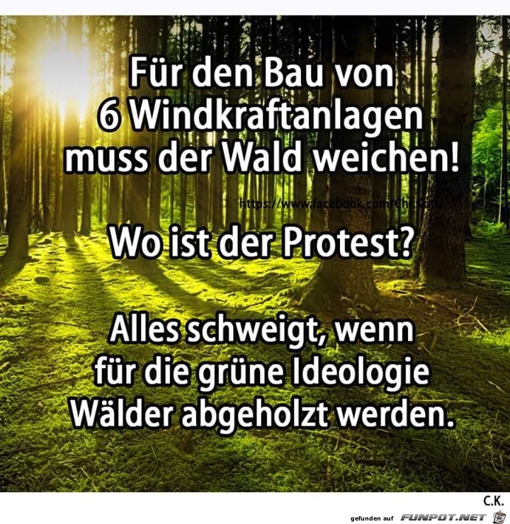 Wald Wald
