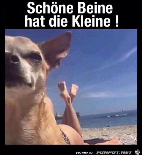 Gut getroffen Gut getroffen