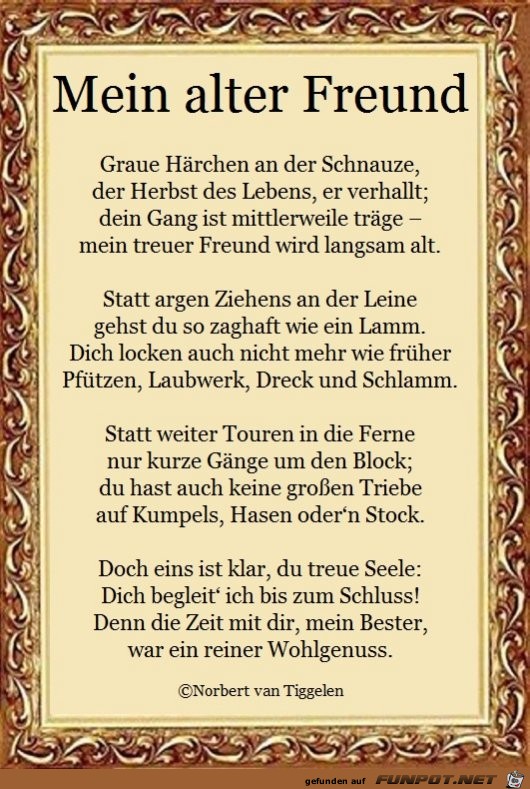 Mein alter Freund 2019 Mein alter Freund 2019