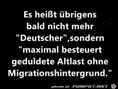 steuer steuer
