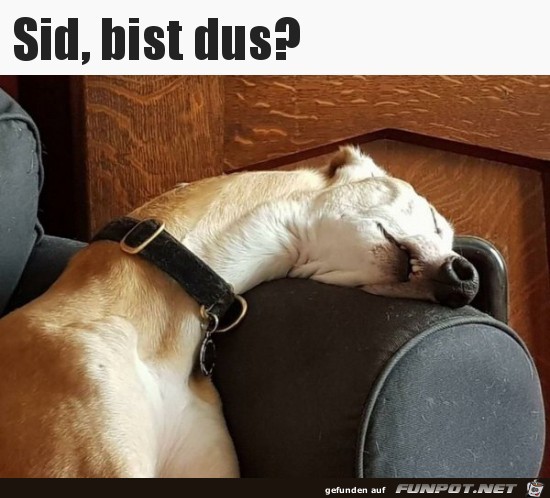 Sid ist da