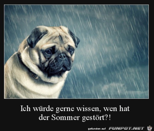 Wo ist die Sonne