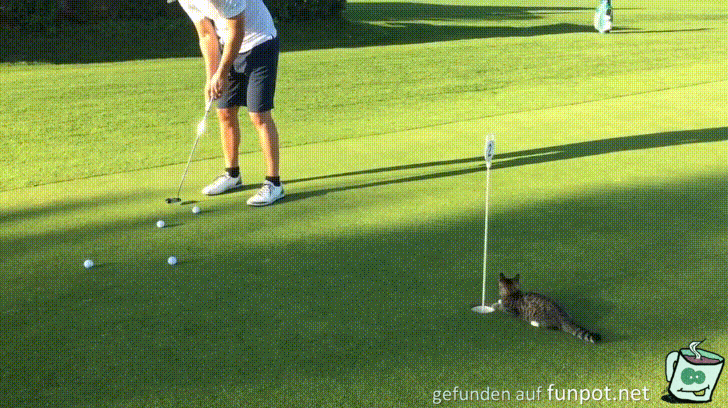 Da kommt keiner rein Da kommt keiner rein