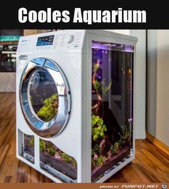 Besonderes Aquarium