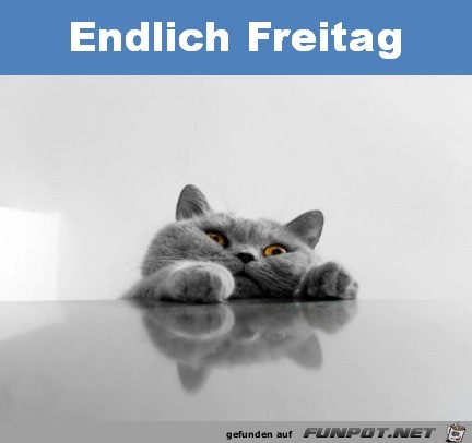 Freitag Freitag