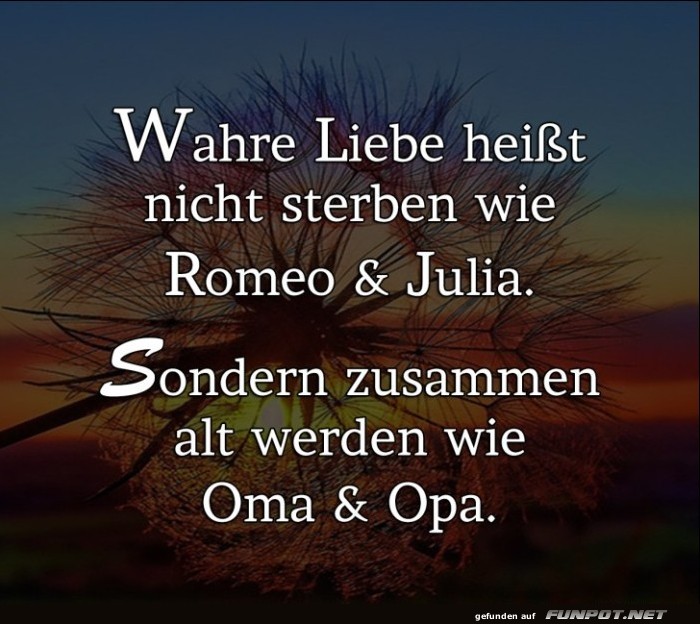 10 sch�ne Spr�che und Lebensweisheiten aus...
