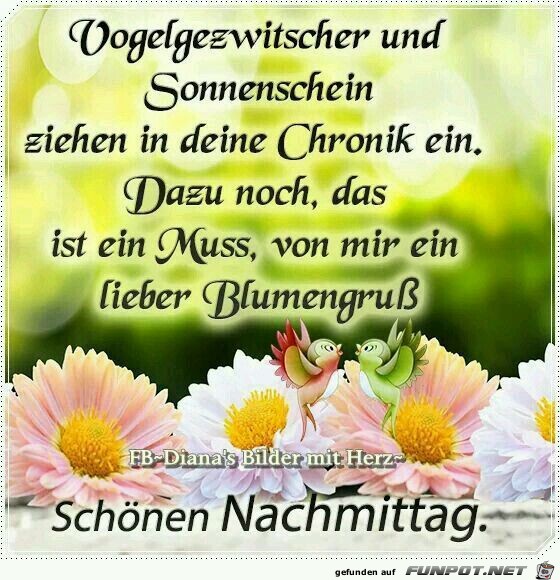 Vogelgezwitscher Vogelgezwitscher