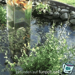 Aussichtsplattform Aussichtsplattform