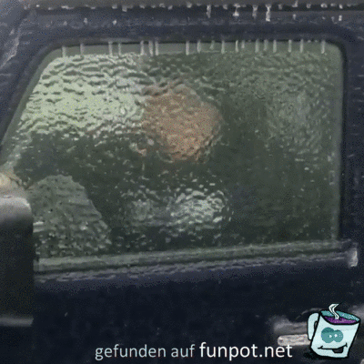 Eissige Autoscheibe Eissige Autoscheibe