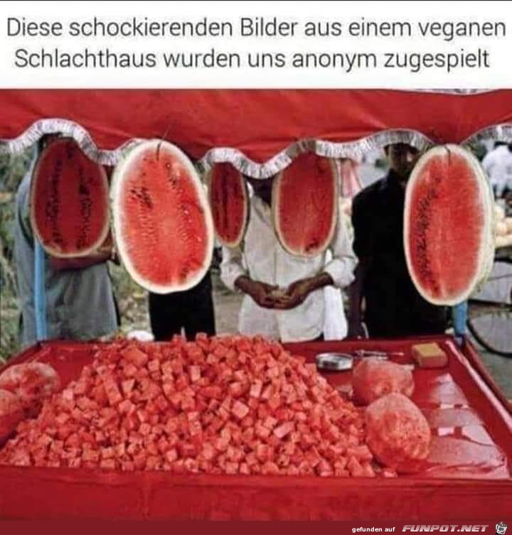 Schockierendes Bild aus Schlachthaus Schockierendes Bild aus Schlachthaus
