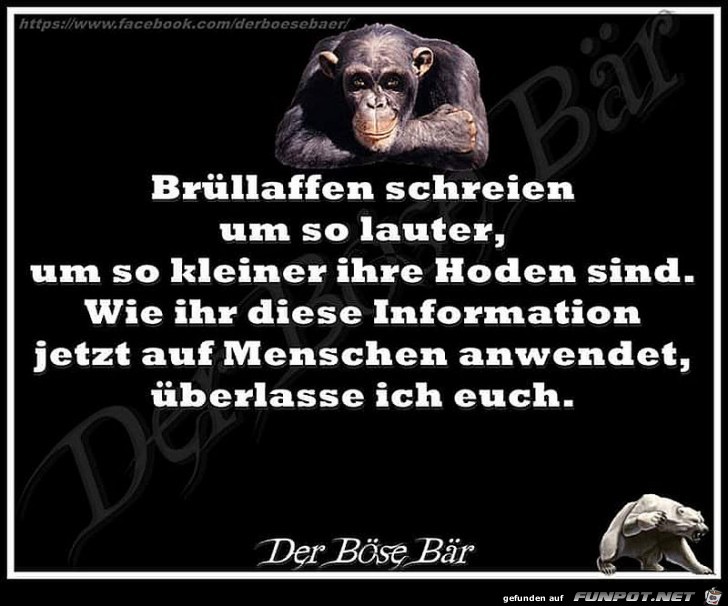 Brüllaffen Brüllaffen