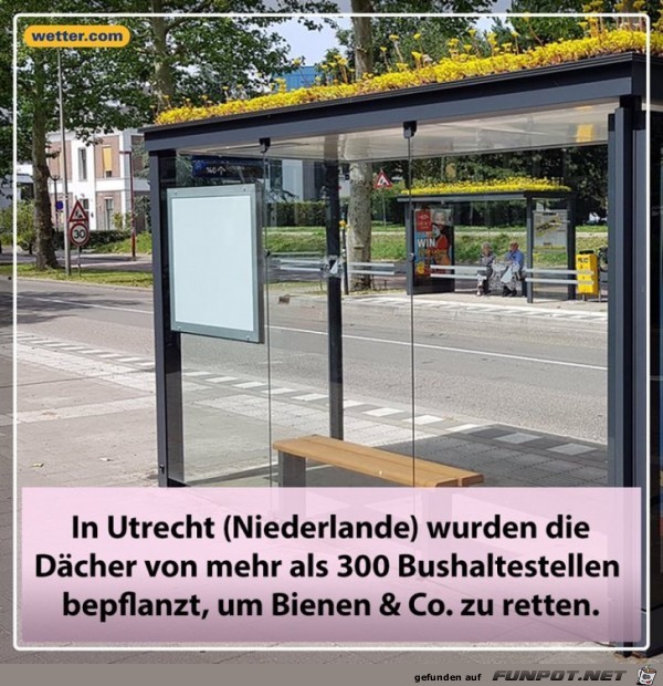 Bepflanzte Bushaltestellen Bepflanzte Bushaltestellen
