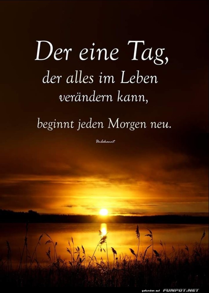 10 sch�ne Spr�che und Lebensweisheiten aus...