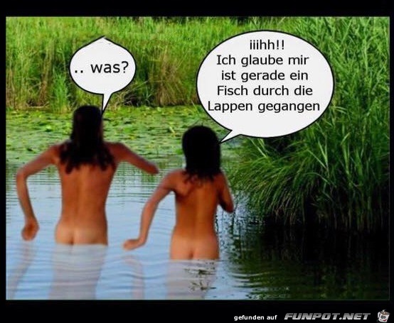 Durch die Lappen gegangen Durch die Lappen gegangen