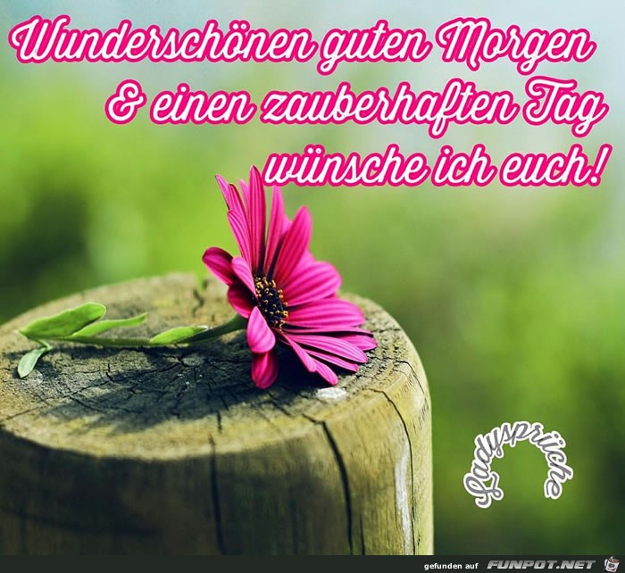Wunderschoenen guten Morgen Wunderschoenen guten Morgen