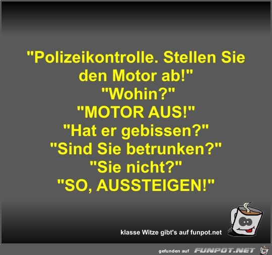 Polizeikontrolle Polizeikontrolle