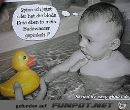 Die Ente Die Ente