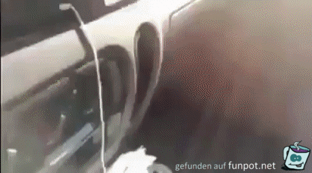 Dumm gelaufen 19 Dumm gelaufen 19