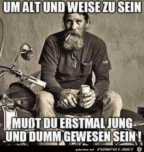 Jung und dumm